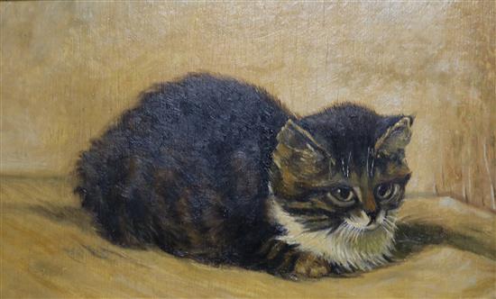 After Ronner-Knip Study of cat 5.5 x 9in.